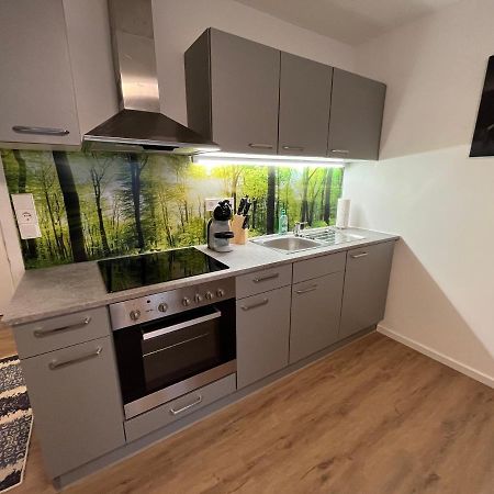 Modernes 4Er Apartment In Skilift-Naehe Zell am See Exterior foto